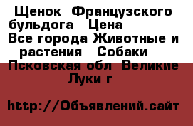 Щенок  Французского бульдога › Цена ­ 35 000 - Все города Животные и растения » Собаки   . Псковская обл.,Великие Луки г.